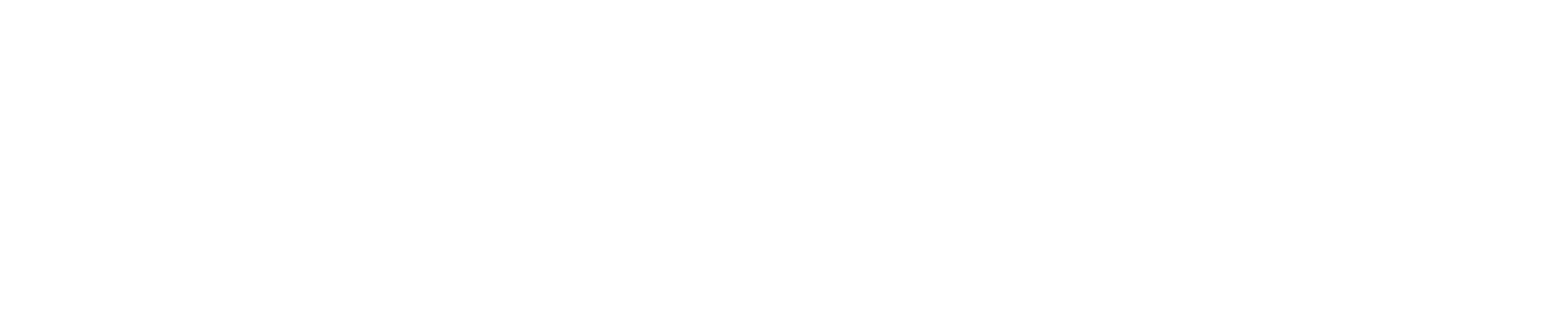 Singular Home logo - White